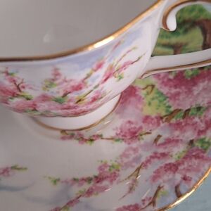 Royal Albert Blossom Time Floral Teacup and Saucer with Gold Trim